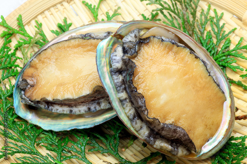 abalone