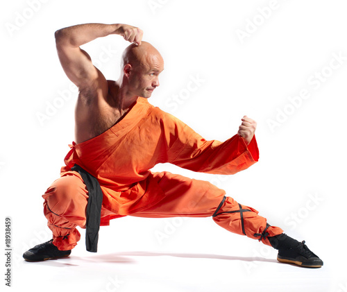 Shaolin warrior monk