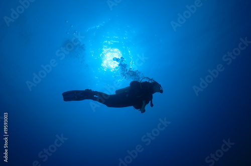 Plongeuse dans le bleu, mer Rouge, Soudan