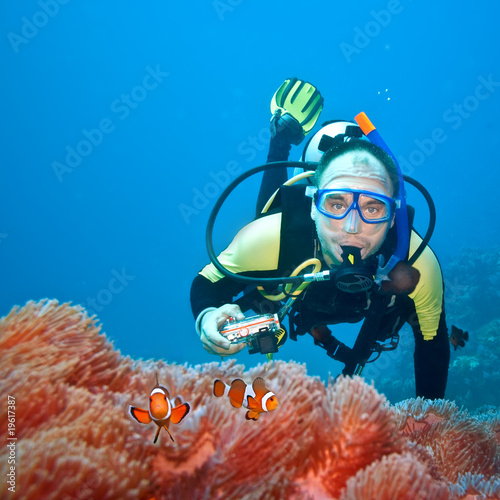 Clownfishes and photographer
