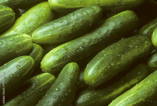 Pile of fresh cucumbers lying diagonally