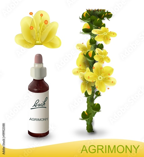 Agrimony