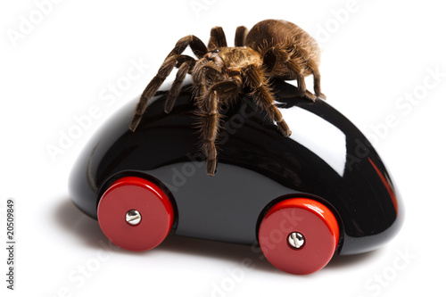 Driver spider