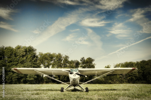 Small airplane parked in a meadow