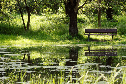 Bank im grünen an einem Teich