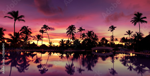 Pnorama Blue pink and red sunset over sea beach with palms