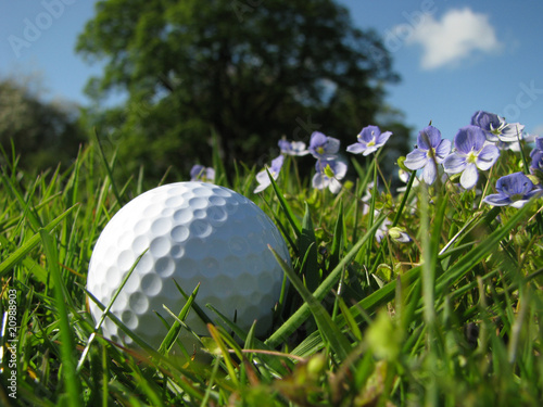 A golf ball in the rough with flowers