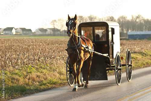 amish cart