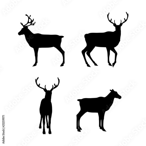 deers different silhouettes vector