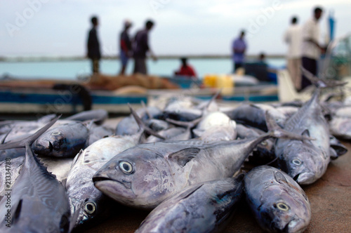 Fischmarkt und im Hintergrund Personen auf einer Insel der Malediven im Vordergrund fisch