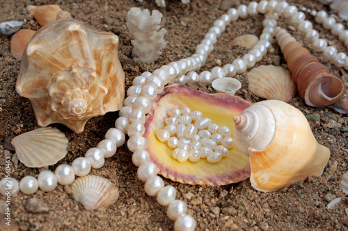 Refined background with pearls and sea cockleshells