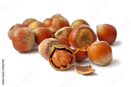 Hazelnuts on a white background