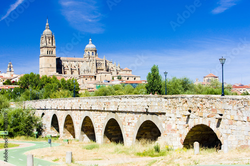 cathedral and Roman bridge of Salamanca, Castile and Leon, Spain