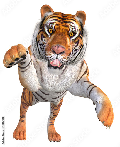 tiger im sprung
