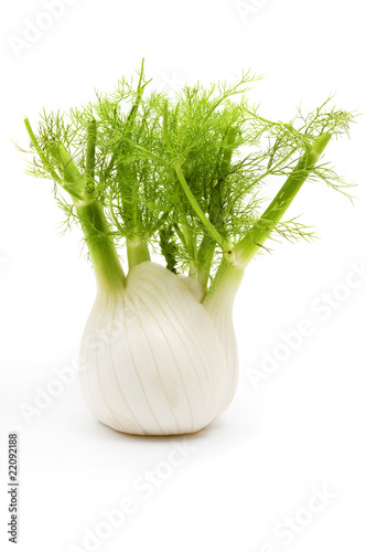 Florence fennel