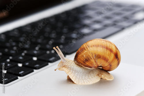 Slow connection as a snail