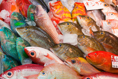 Colorful fresh tropical fish in the market, Okinawa, Japan