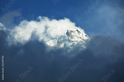 Himalayan