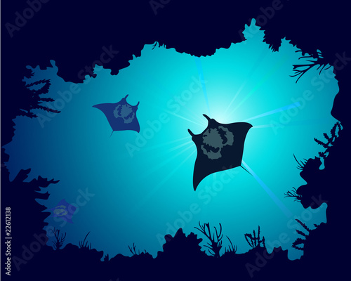 Background of a coral reef with manta ray