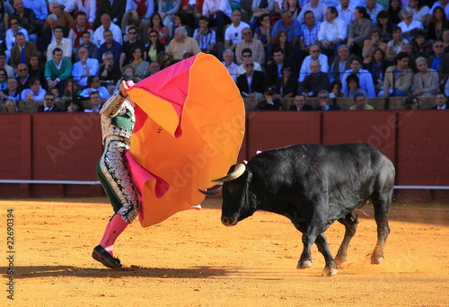 Bull fight at Seville