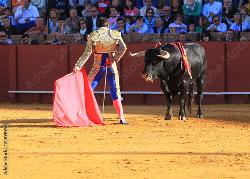 Bull fight at Seville