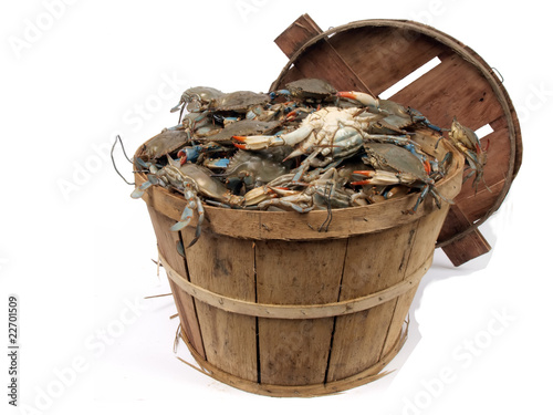 bushel basket of crabs 3