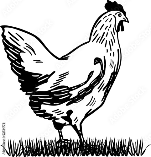 POULE