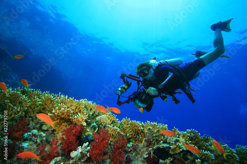 Scuba Diver with camera approaches tropical fish on coral reef