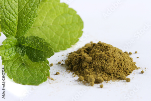 stevia en poudre sucre naturel édulcorant