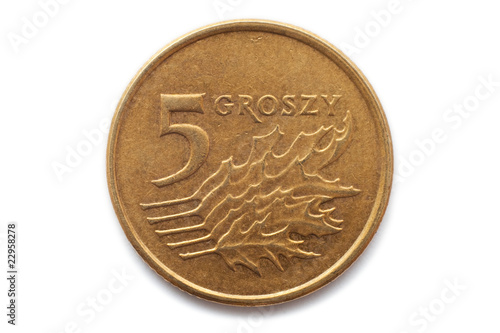 Macro close-up of polish 5 groszy coin