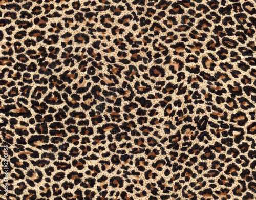 leopard skin as background