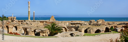 thermes de Carthage