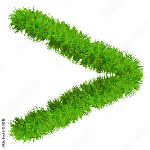High resolution conceptual grass symbol isolated