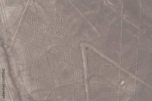 Líneas de Nazca, Araña