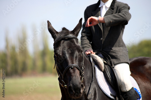Man sits on horse and looks at his watch