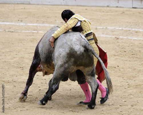 Matador Hugging Bull