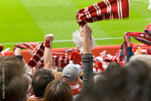 Fußballfan, Zuschauer, Stadion, Jubel