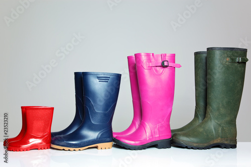 Group of wellie boots