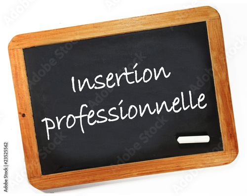 insertion professionnelle