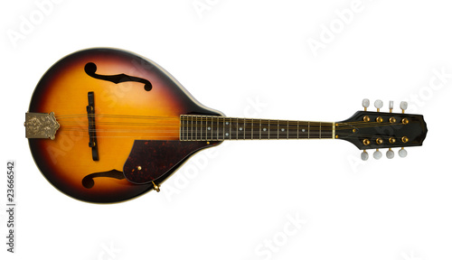 mandolin