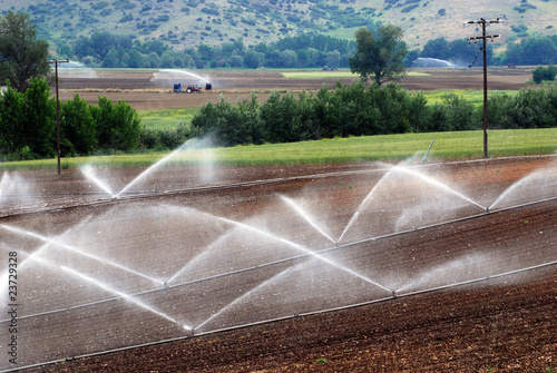 irrigation of agricultural field