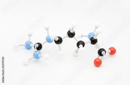 Arginine Amino Acid Molecule