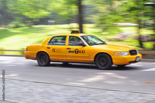 Yellow Cab dashes in Central Park.