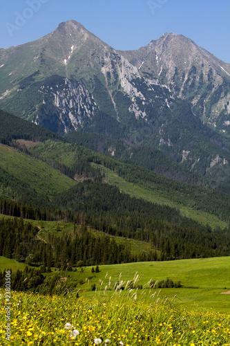 Tatras pasture with a meadow and mountains