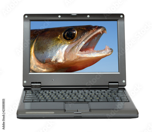 small laptop with fishing themes