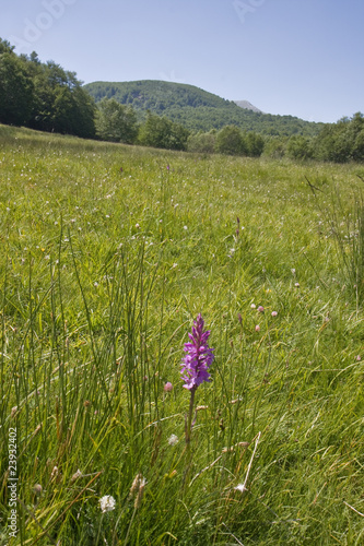 Parco Nazionale Pollino