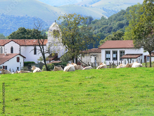 Basque village