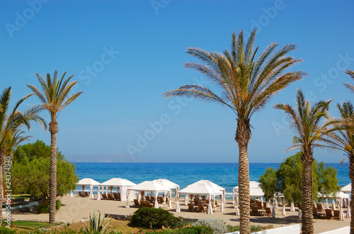 Palm trees at the beach of luxury hotel, Crete, Greece