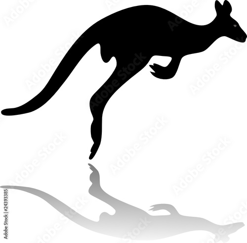 kangaroo silhouette