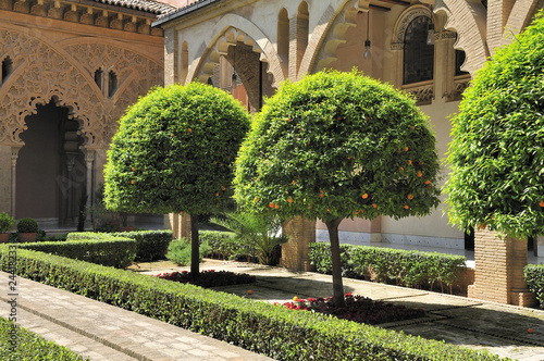 The yard of the Aljaferia palace (Zaragoza) with orange trees